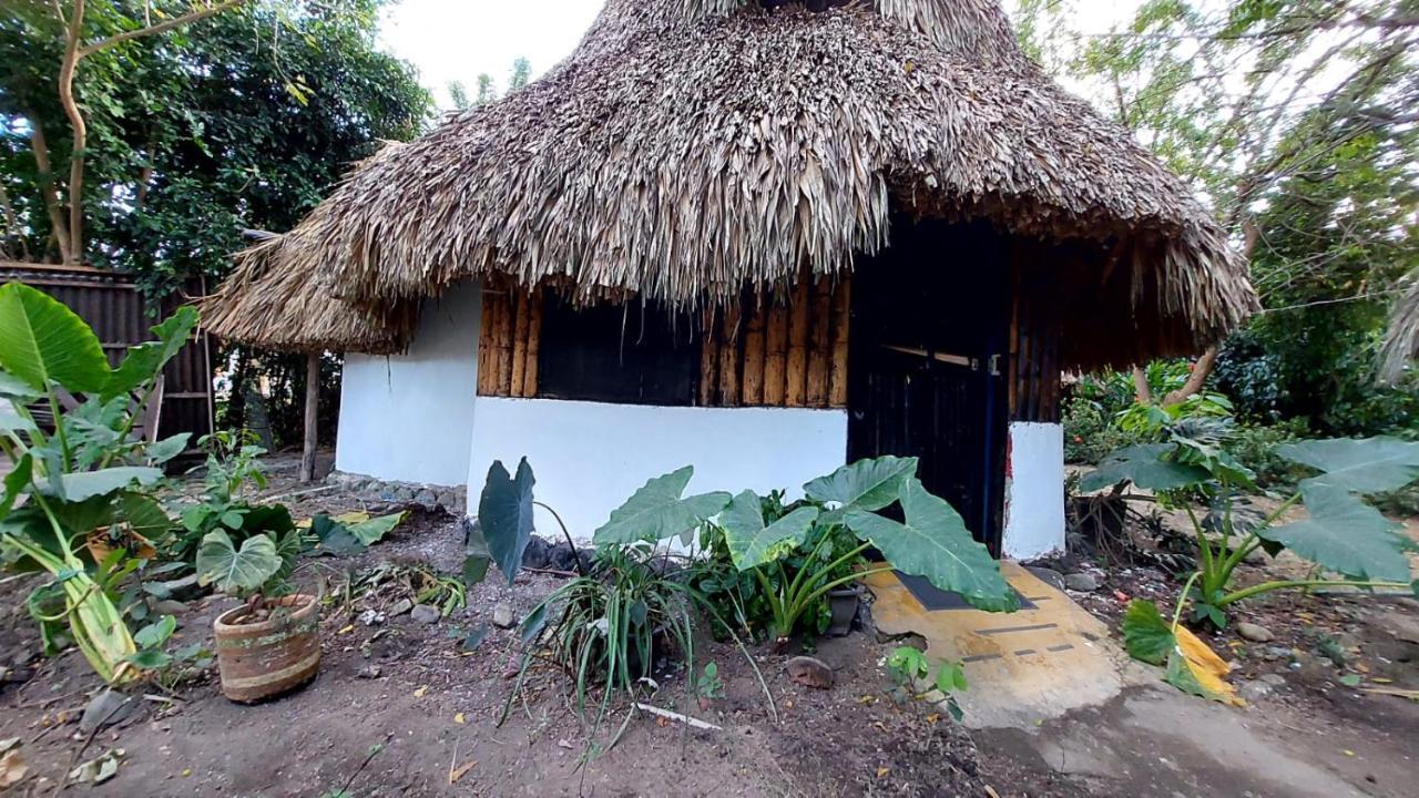 Auroa Palomino Exterior foto