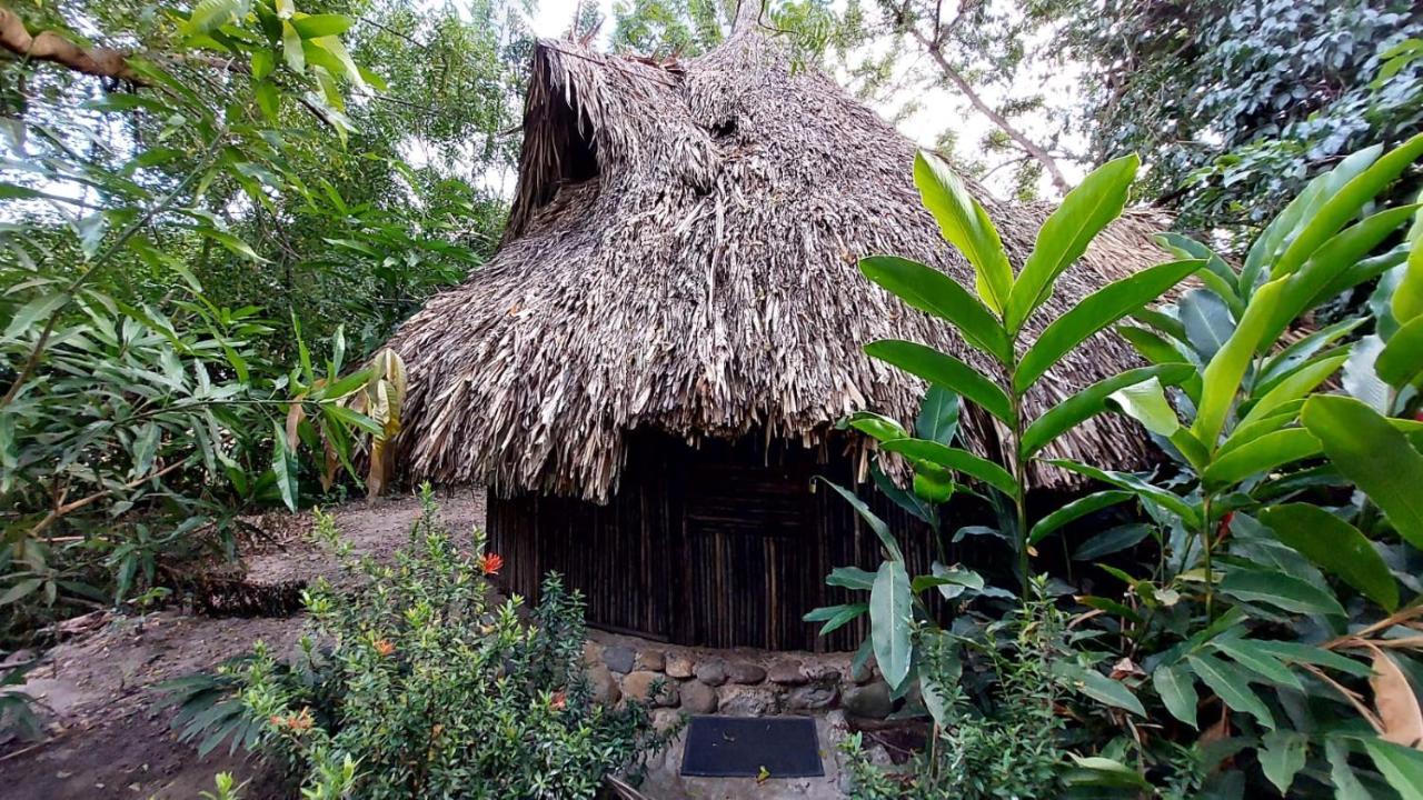 Auroa Palomino Exterior foto