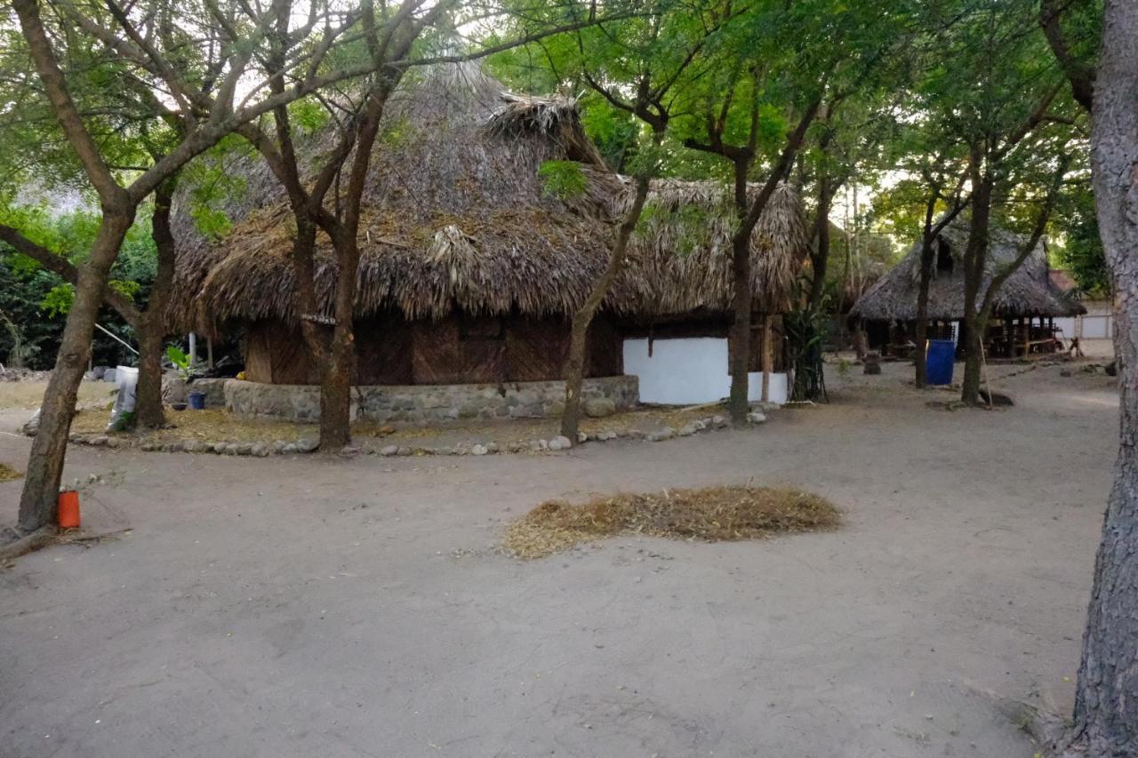 Auroa Palomino Exterior foto