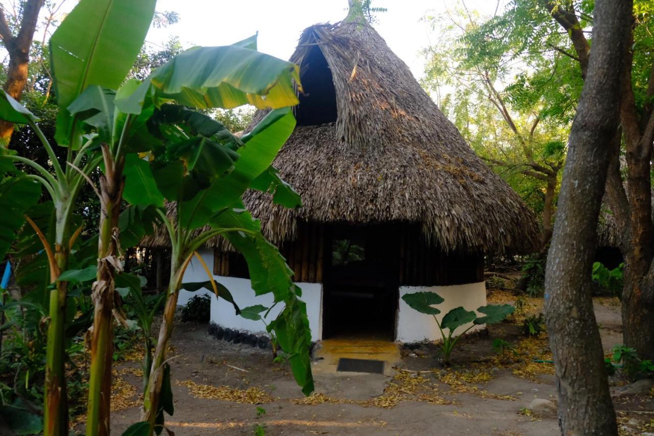 Auroa Palomino Exterior foto